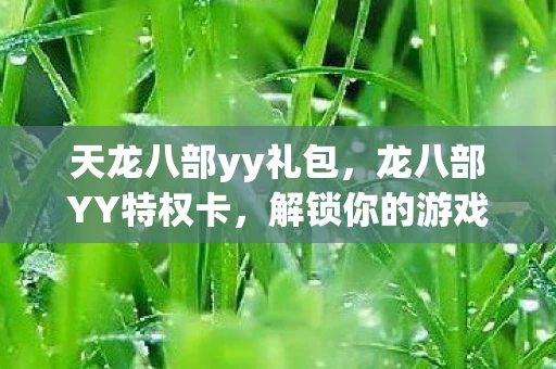 天龙八部yy礼包，龙八部YY特权卡，解锁你的游戏新世界