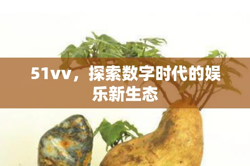51vv，探索数字时代的娱乐新生态