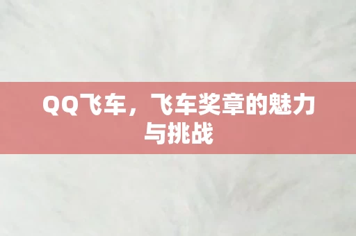 飞车奖章的魅力与挑战图片
