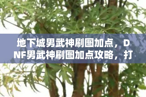 地下城男武神刷图加点，DNF男武神刷图加点攻略，打造高效战斗力的关键