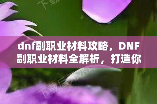dnf副职业材料攻略，DNF副职业材料全解析，打造你的专属职业之路