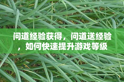 问道经验获得，问道送经验，如何快速提升游戏等级