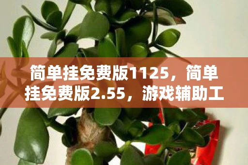 简单挂免费版1125，简单挂免费版2.55，游戏辅助工具的革新与争议