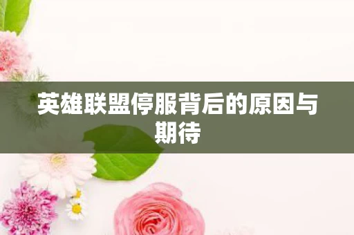 英雄联盟停服背后的原因与期待图片