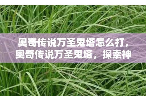 奥奇传说万圣鬼塔怎么打，奥奇传说万圣鬼塔，探索神秘塔楼的奇幻之旅