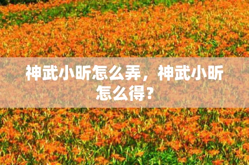 神武小昕怎么弄，神武小昕怎么得？