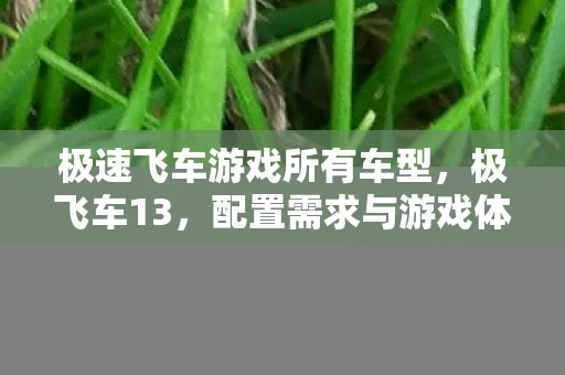 极速飞车游戏所有车型,极飞车13,配置需求与游戏体验优化指南 极速飞车游戏所有车型,极飞车13,配置需求与游戏体验优化指南