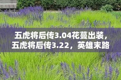 五虎将后传3.04花蔓出装，五虎将后传3.22，英雄末路的悲壮篇章