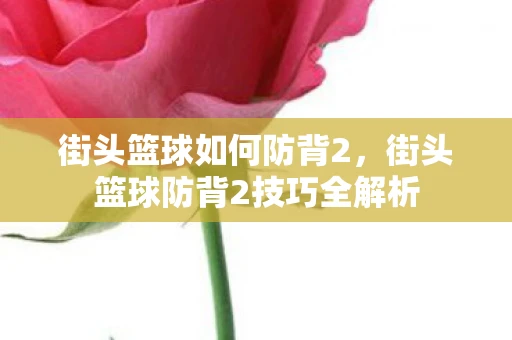 街头篮球如何防背2，街头篮球防背2技巧全解析