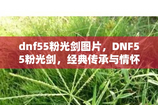 dnf55粉光剑图片，DNF55粉光剑，经典传承与情怀再现
