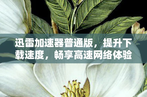 迅雷加速器普通版,提升下载速度,畅享高速网络体验 迅雷加速器普通版,提升下载速度,畅享高速网络体验