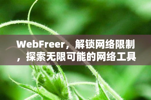 WebFreer,解锁网络限制,探索无限可能的网络工具 WebFreer,解锁网络限制,探索无限可能的网络工具