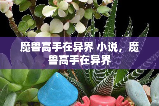 魔兽高手在异界 小说，魔兽高手在异界