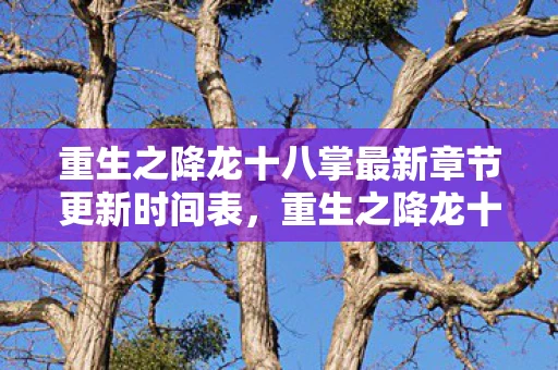 重生之降龙十八掌最新章节更新时间表,重生之降龙十八掌 重生之降龙十八掌最新章节更新时间表,重生之降龙十八掌