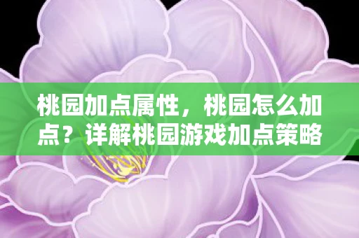 桃园加点属性，桃园怎么加点？详解桃园游戏加点策略