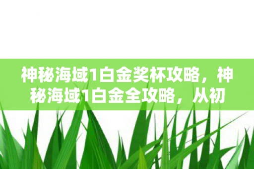 神秘海域1白金奖杯攻略,神秘海域1白金全攻略,从初识到精通的探险之旅 神秘海域1白金奖杯攻略,神秘海域1白金全攻略,从初识到精通的探险之旅