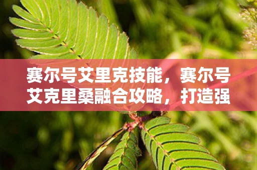 赛尔号艾里克技能，赛尔号艾克里桑融合攻略，打造强力精灵的秘诀