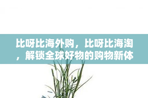 比呀比海外购，比呀比海淘，解锁全球好物的购物新体验