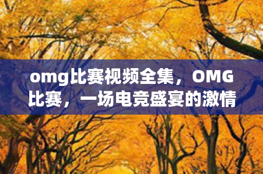 omg比赛视频全集，OMG比赛，一场电竞盛宴的激情碰撞