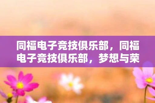 同福电子竞技俱乐部，同福电子竞技俱乐部，梦想与荣耀的集结地