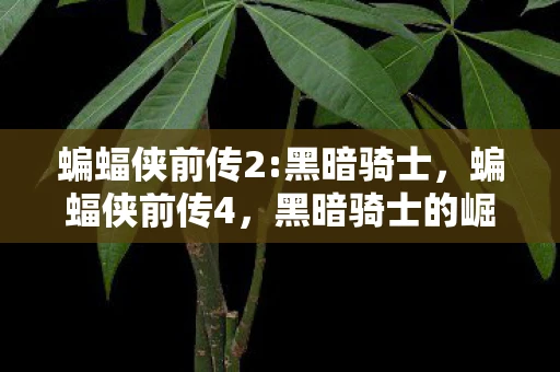蝙蝠侠前传2:黑暗骑士，蝙蝠侠前传4，黑暗骑士的崛起