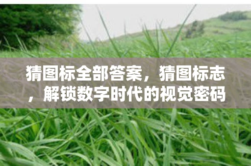 猜图标全部答案，猜图标志，解锁数字时代的视觉密码