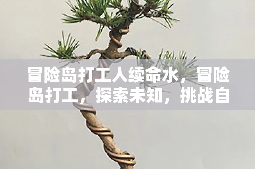 冒险岛打工人续命水，冒险岛打工，探索未知，挑战自我