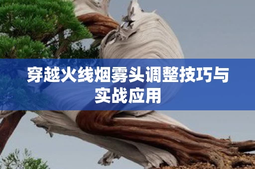 穿越火线烟雾头调整技巧与实战应用图片