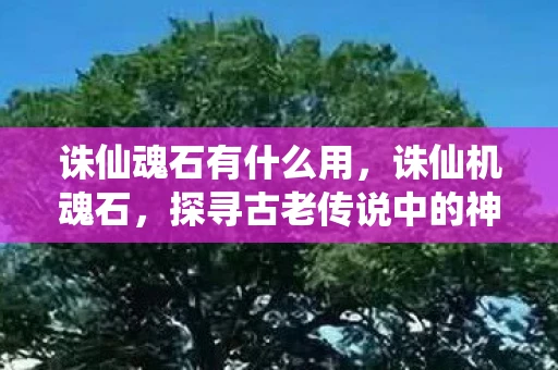 诛仙魂石有什么用，诛仙机魂石，探寻古老传说中的神秘宝物