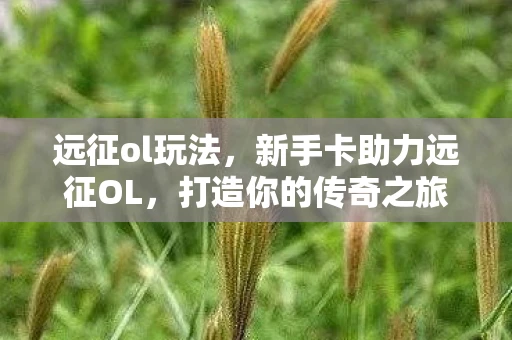 远征ol玩法，新手卡助力远征OL，打造你的传奇之旅