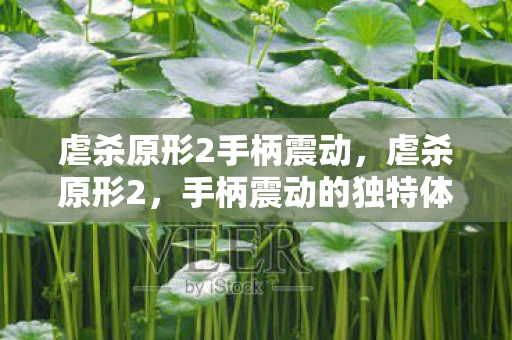 虐杀原形2手柄震动，虐杀原形2，手柄震动的独特体验