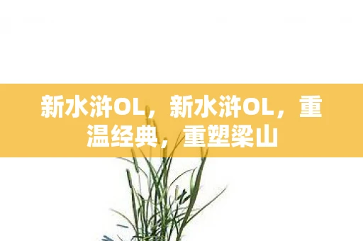 新水浒OL，新水浒OL，重温经典，重塑梁山