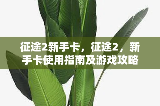 征途2新手卡,征途2,新手卡使用指南及游戏攻略 征途2新手卡,征途2,新手卡使用指南及游戏攻略