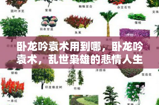 卧龙吟袁术用到哪，卧龙吟袁术，乱世枭雄的悲情人生