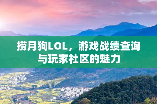 游戏战绩查询与玩家社区的魅力图片