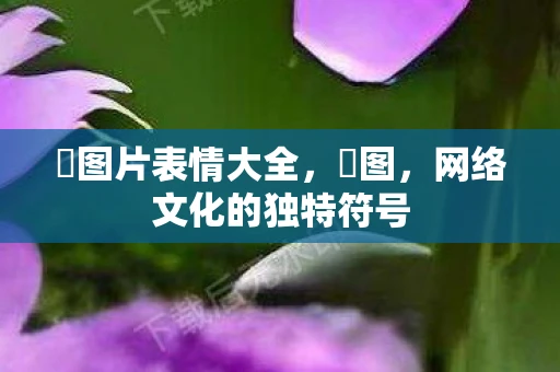 囧图片表情大全,囧图,网络文化的独特符号 囧图片表情大全,囧图,网络文化的独特符号