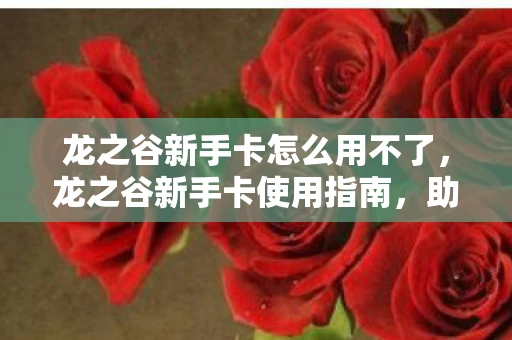 龙之谷新手卡怎么用不了，龙之谷新手卡使用指南，助你快速入门，畅游奇幻世界