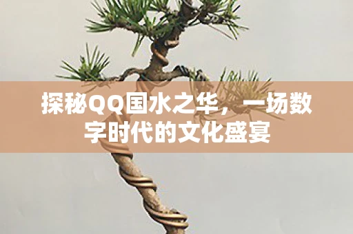 探秘QQ国水之华，一场数字时代的文化盛宴