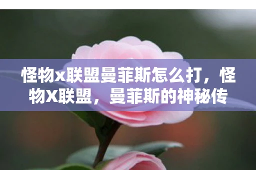 怪物x联盟曼菲斯怎么打，怪物X联盟，曼菲斯的神秘传说