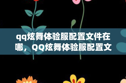 qq炫舞体验服配置文件在哪，QQ炫舞体验服配置文件详解
