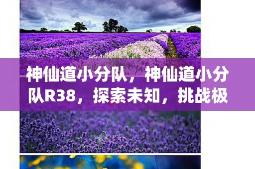 神仙道小分队,神仙道小分队R38,探索未知,挑战极限 神仙道小分队,神仙道小分队R38,探索未知,挑战极限