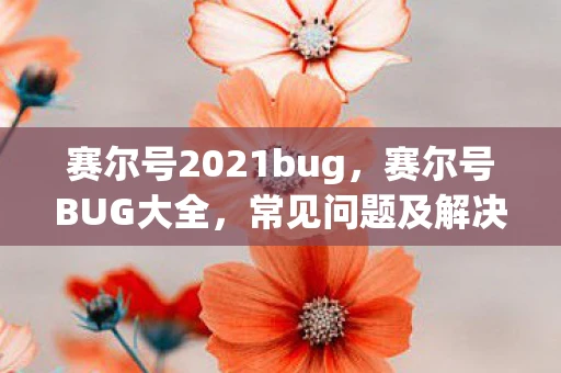 赛尔号2021bug，赛尔号BUG大全，常见问题及解决方法
