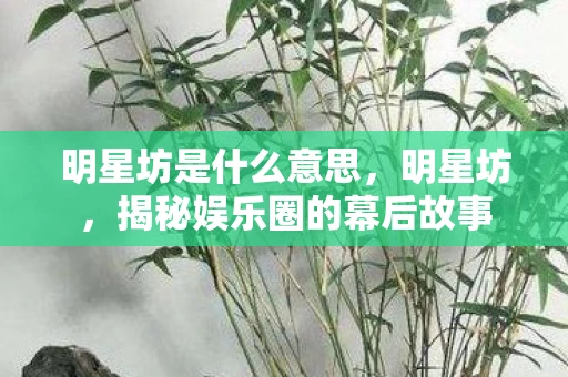 明星坊是什么意思,明星坊,揭秘娱乐圈的幕后故事 明星坊是什么意思,明星坊,揭秘娱乐圈的幕后故事