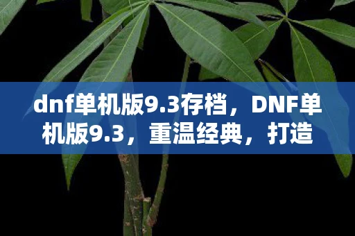 dnf单机版9.3存档，DNF单机版9.3，重温经典，打造属于你的传奇冒险