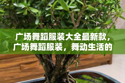 广场舞蹈服装大全最新款,广场舞蹈服装,舞动生活的多彩篇章 广场舞蹈服装大全最新款,广场舞蹈服装,舞动生活的多彩篇章