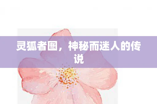 灵狐者图，神秘而迷人的传说