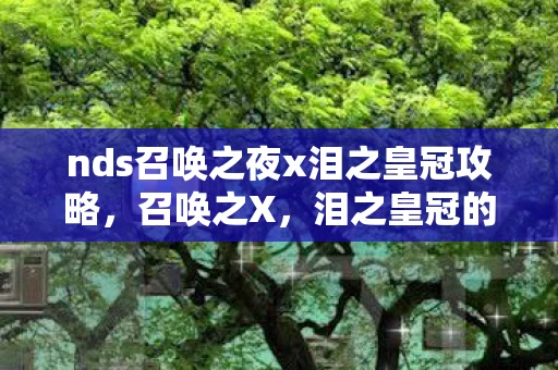 nds召唤之夜x泪之皇冠攻略，召唤之X，泪之皇冠的金手指之谜
