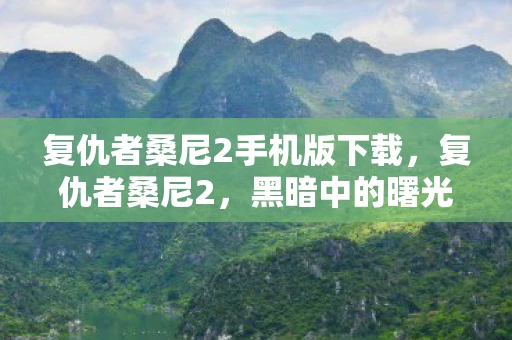 复仇者桑尼2手机版下载，复仇者桑尼2，黑暗中的曙光