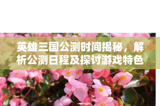 解析公测日程及探讨游戏特色图片