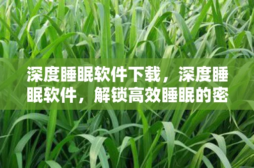 深度睡眠软件下载，深度睡眠软件，解锁高效睡眠的密钥